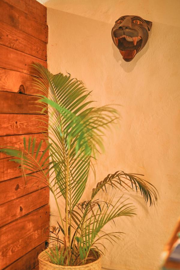 Blue Pepper Beds Sayulita Hostel Exterior photo